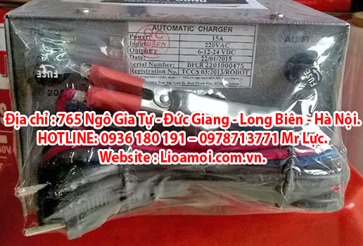 nap_ac_quy_lioa_15a